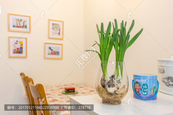 家庭綠植