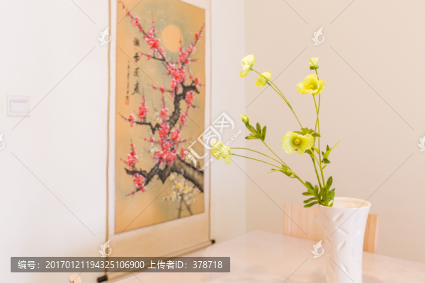 家庭綠植