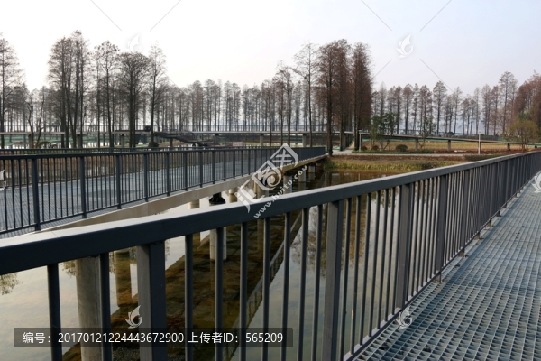 東湖綠道風(fēng)景