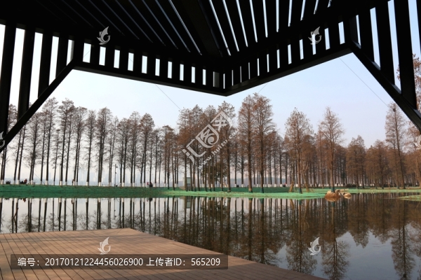東湖綠道風景