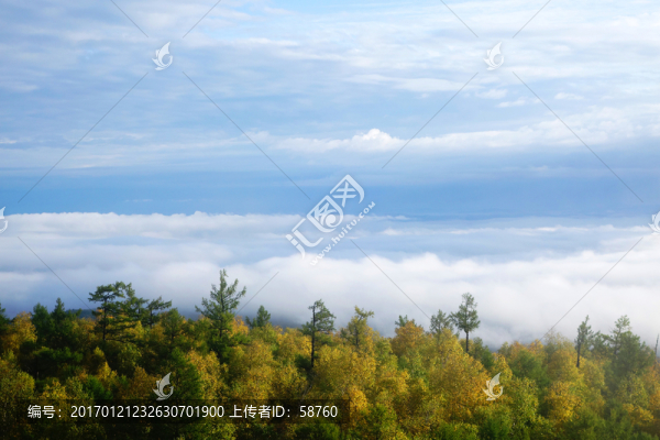 山林云霧