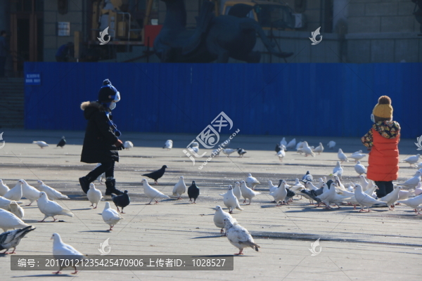 鴿群中的小孩
