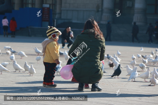 母子與鴿子