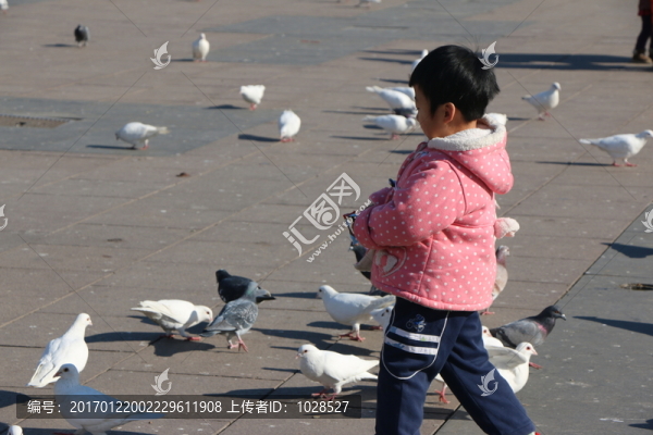 孩子與鴿子