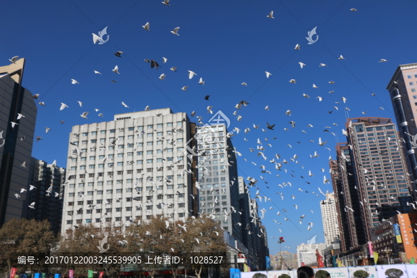 城市風(fēng)光