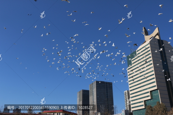 城市風(fēng)貌
