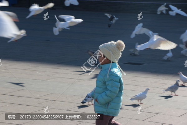 兒童與鴿子