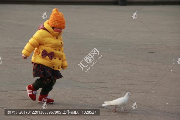 追鴿子的孩子