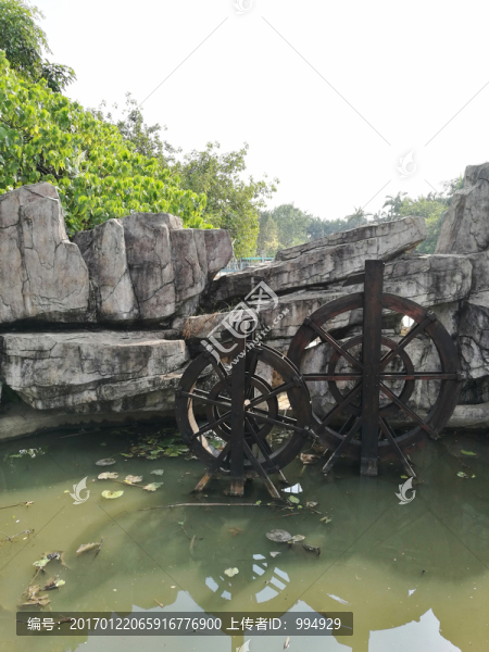 深圳洪湖公園假山
