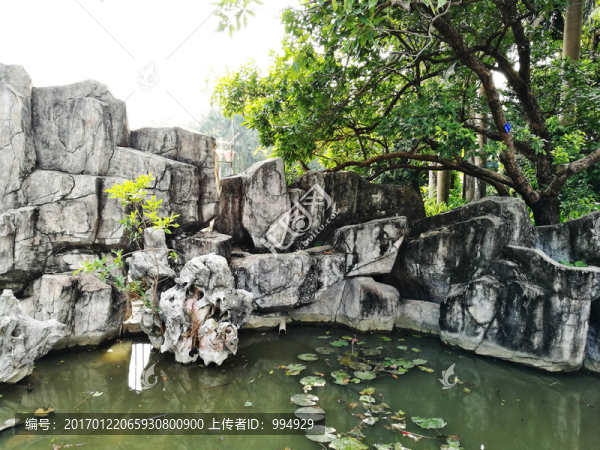 深圳羅湖洪湖公園假山