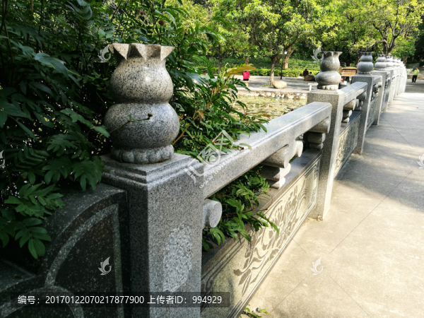深圳洪湖公園