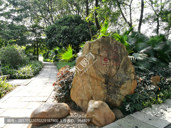深圳洪湖公園美景