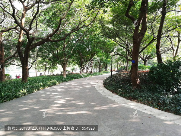 深圳洪湖公園景區(qū)