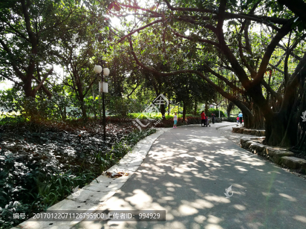 羅湖洪湖公園景區(qū)