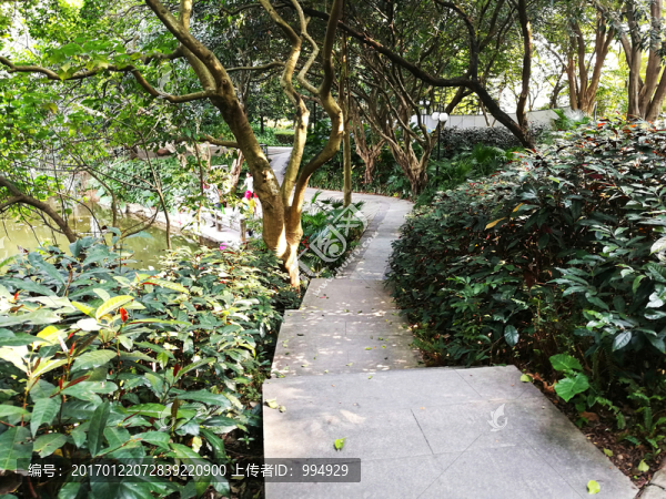 深圳洪湖公園