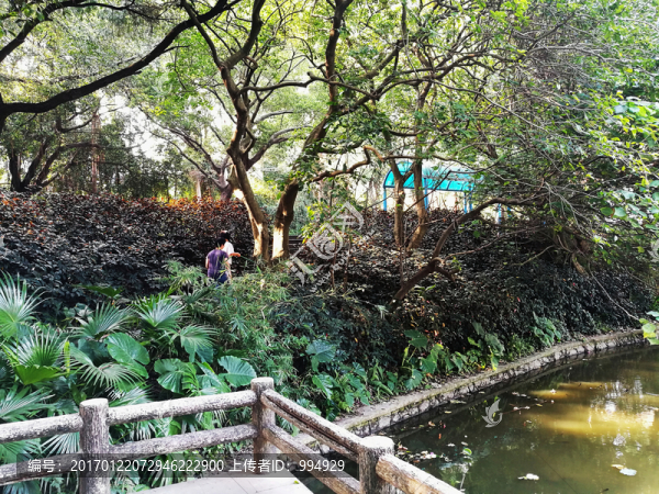 羅湖洪湖公園