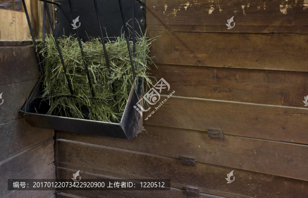 在穩(wěn)定失速中的干草