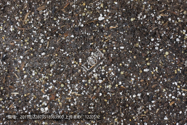 潮濕的花園盆栽土壤背景-匯圖網(wǎng) www.fosd68.com 潮濕的花園盆栽土壤背景