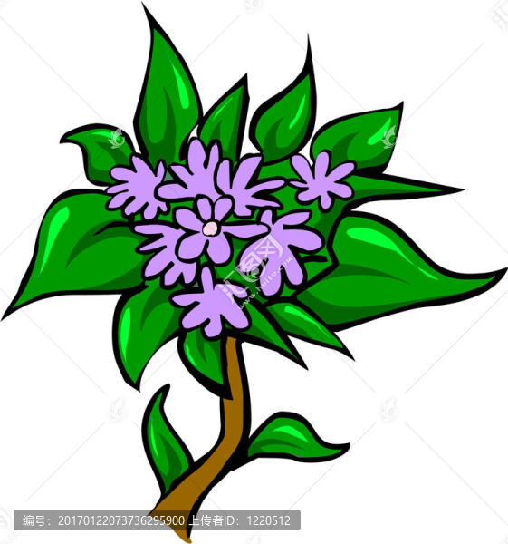 丁香花