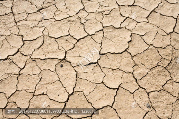 干泥破碎荒漠背景格局