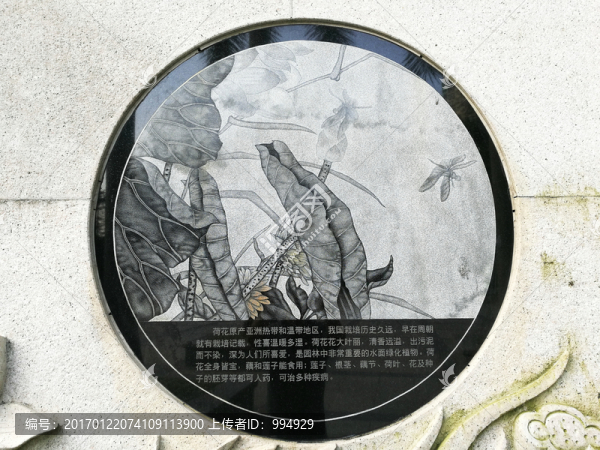 蓮花石刻