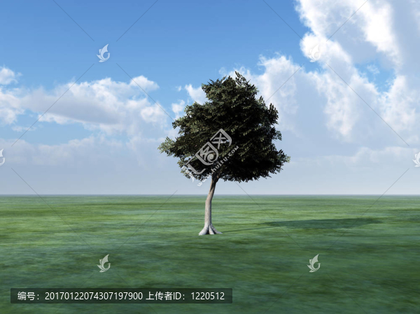 Tree,In,Green景觀