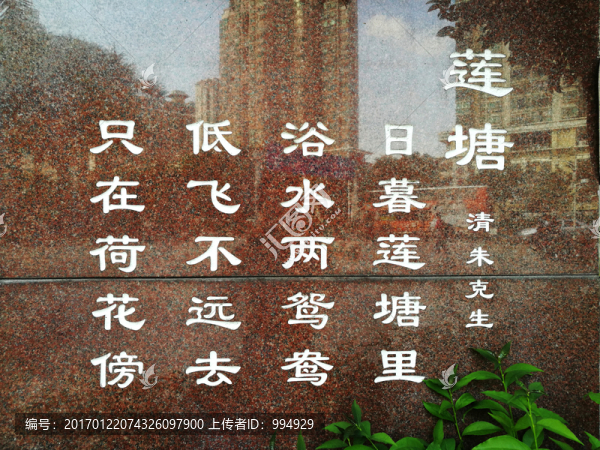 荷花古詩蓮塘