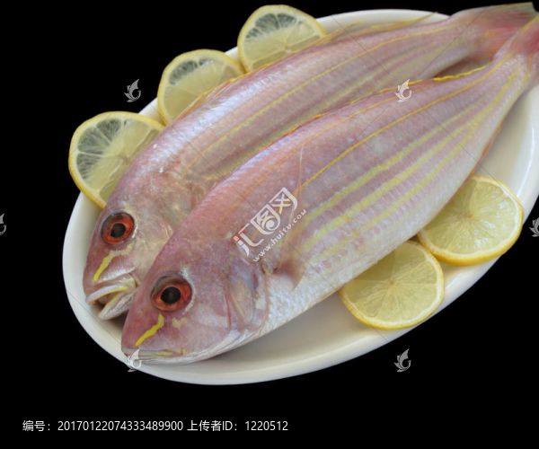 兩金線魚魚