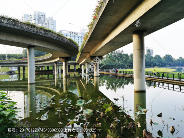 深圳洪湖公園美景
