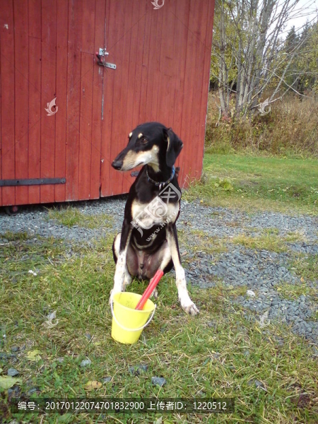 準(zhǔn)備好了-匯圖網(wǎng) www.fosd68.com 準(zhǔn)備好了