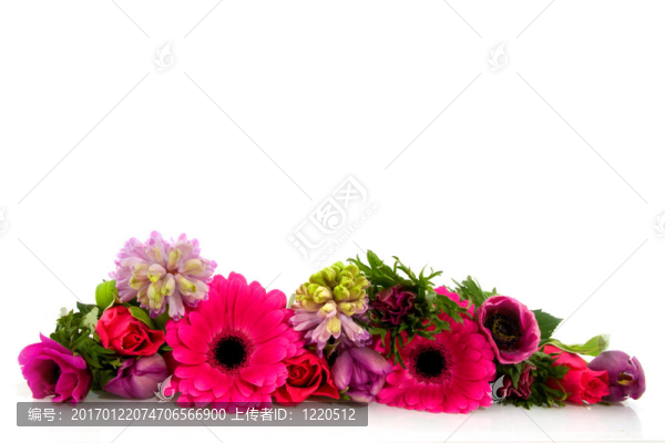 Garland的花