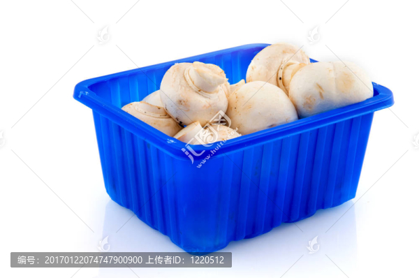 蘑菇