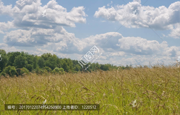 田野和天空