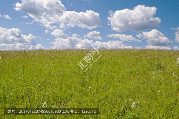 田野和天空