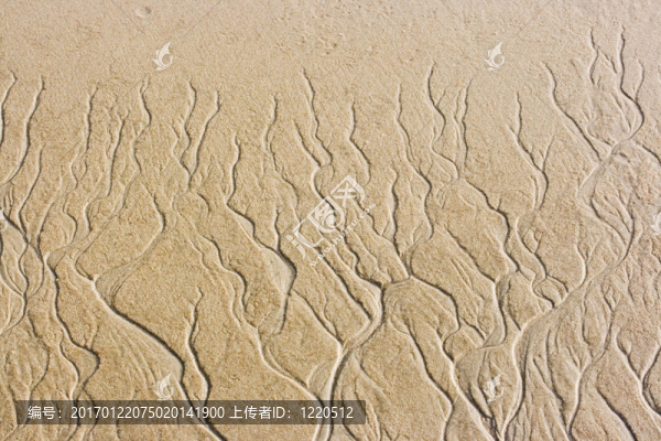 流出后的桑迪波