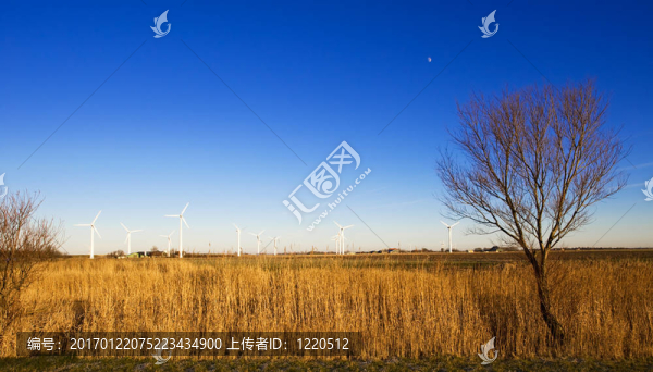 風(fēng)電景觀