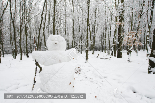 森林里的雪人