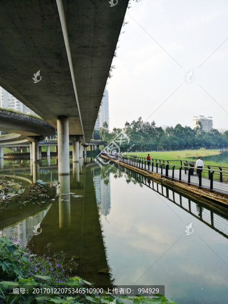 深圳羅湖洪湖公園美景