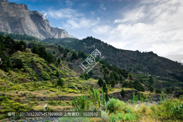 火山口的塔武連特
