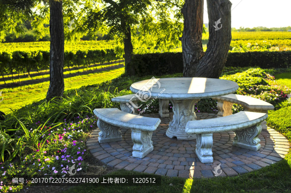 臺(tái)俯瞰葡萄園