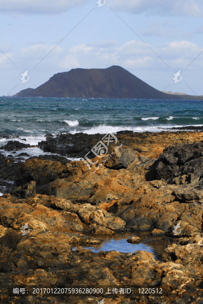 富埃特文圖拉島；加那利群島