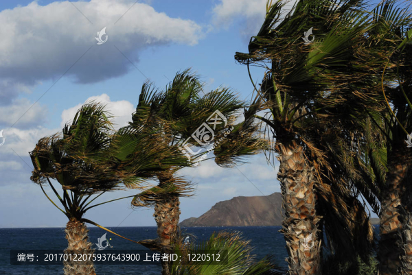富埃特文圖拉島；加那利群島