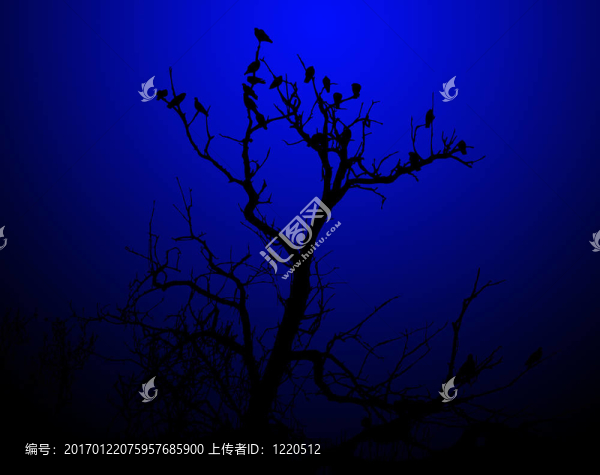 樹上的鳥剪影