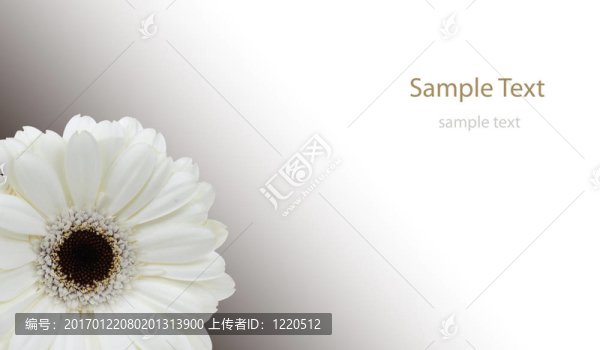 孤立的花