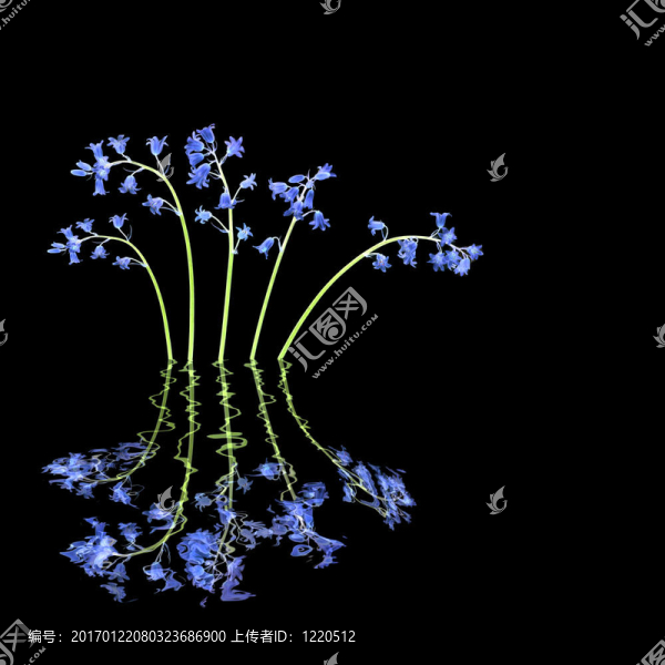 藍鈴花摘要