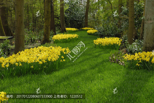 美麗的花園