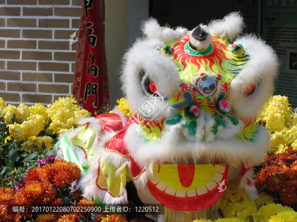 中國(guó)的獅子
