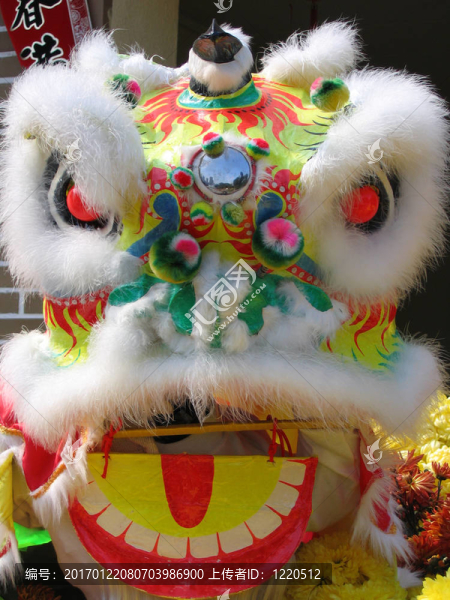 一頭中國獅子的頭