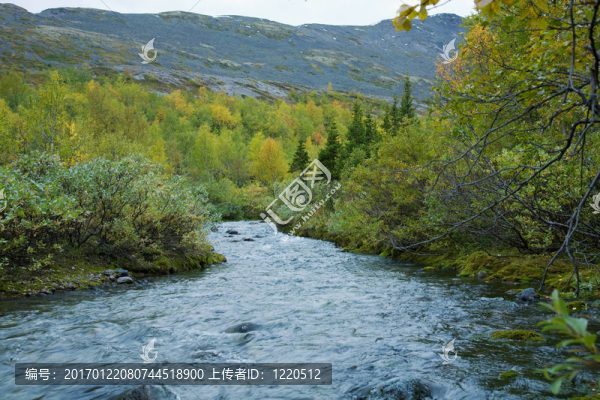 山區(qū)河流