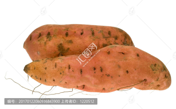 孤立的紅薯